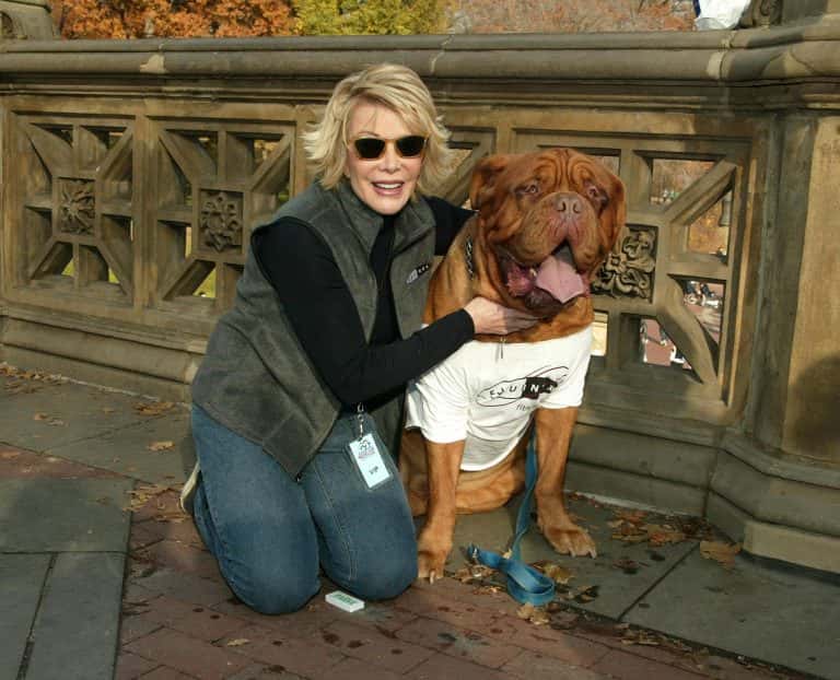 Joan Rivers Dog The Most Bizarre Things That Sold High At Auctions
