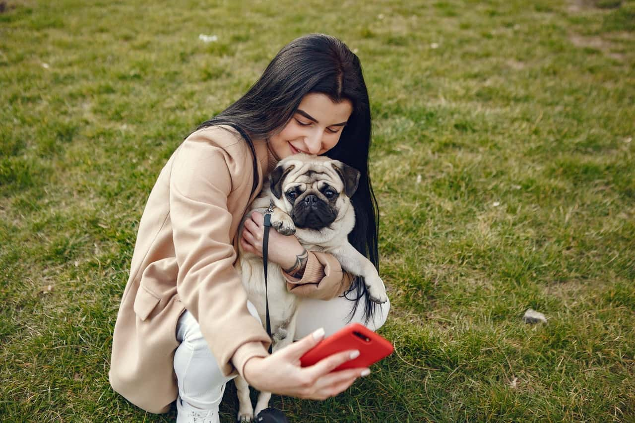 Pet Owners Share Moment They Knew Their Animals Loved Them