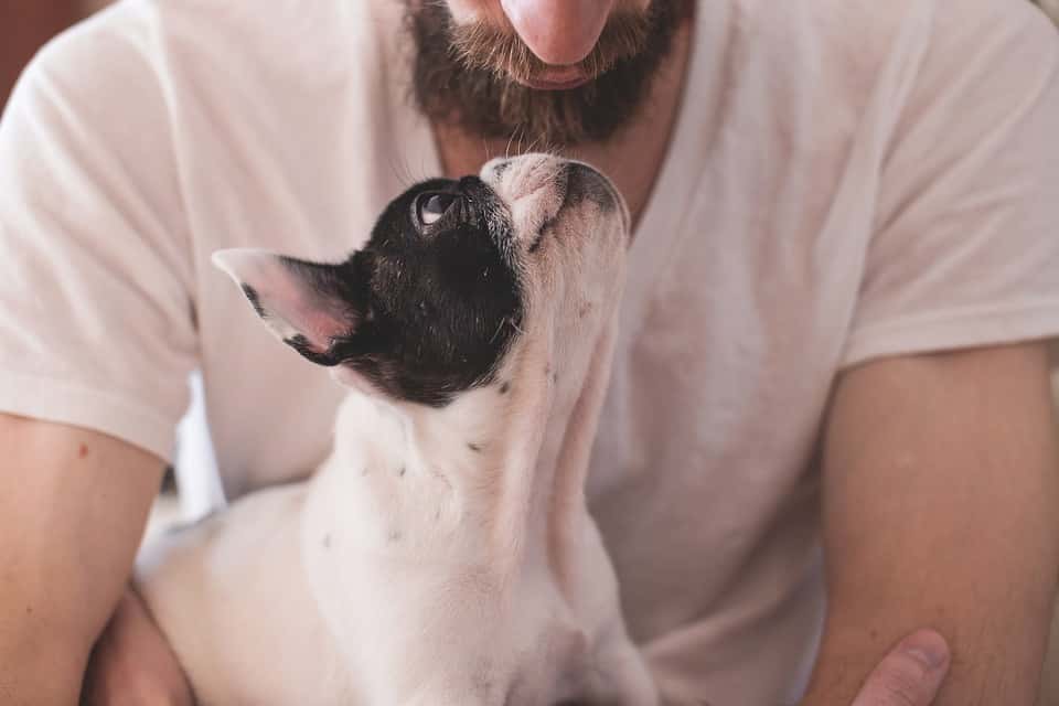 Unbelievable Pets