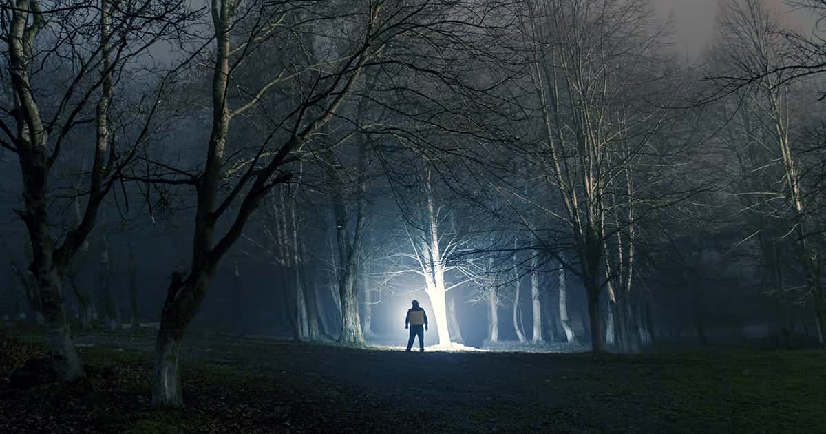 Stay Out Of The Woods: Campers And Hikers Share Their Creepiest Experiences