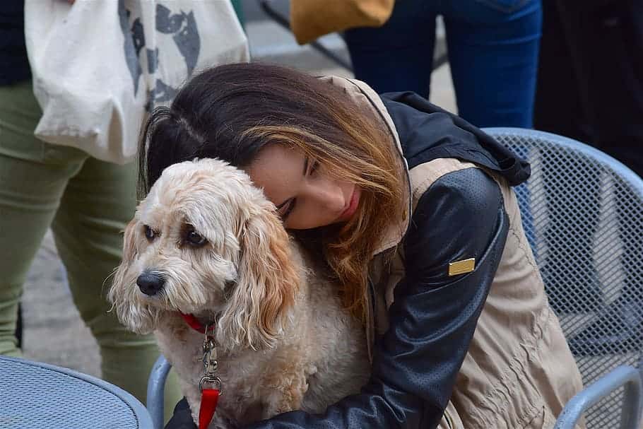 Pet Owners Share Moment They Knew Their Animals Loved Them