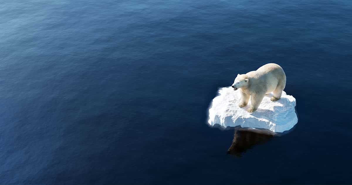 The Impacts Of The Financial Sector On Global Climate Change