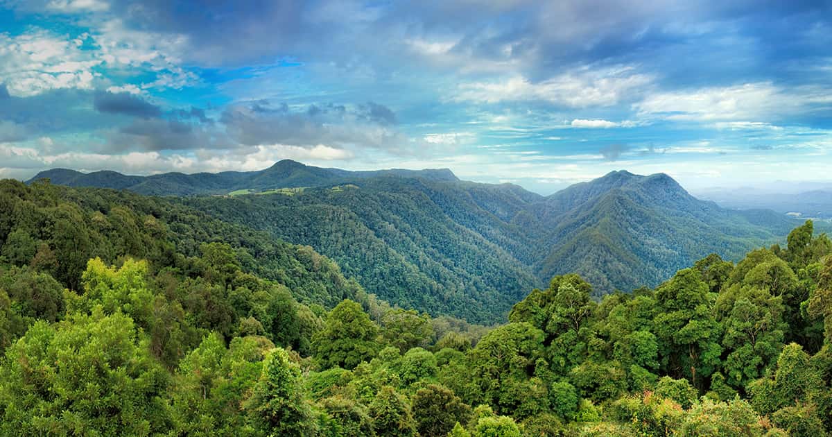 Carbon Neutral Club: How Fighting Climate Change Can Save You Money