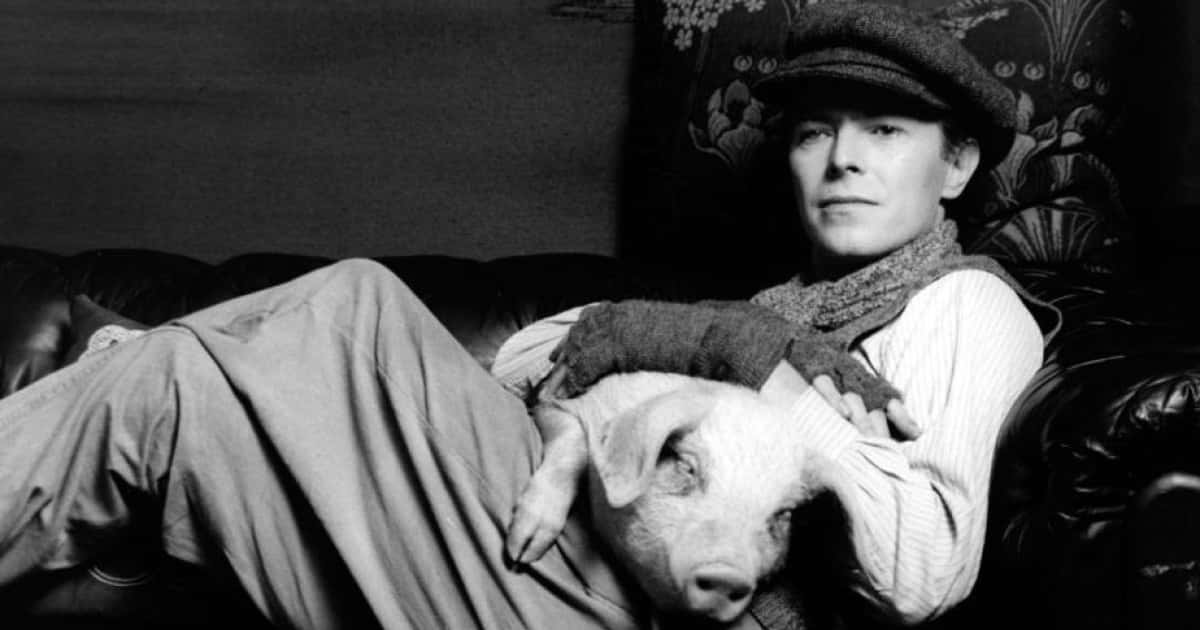 27 Remarkable Facts About David Bowie