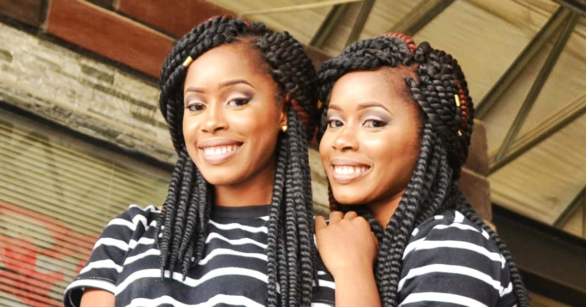 Seeing Double: The Wild Lives Of Twins