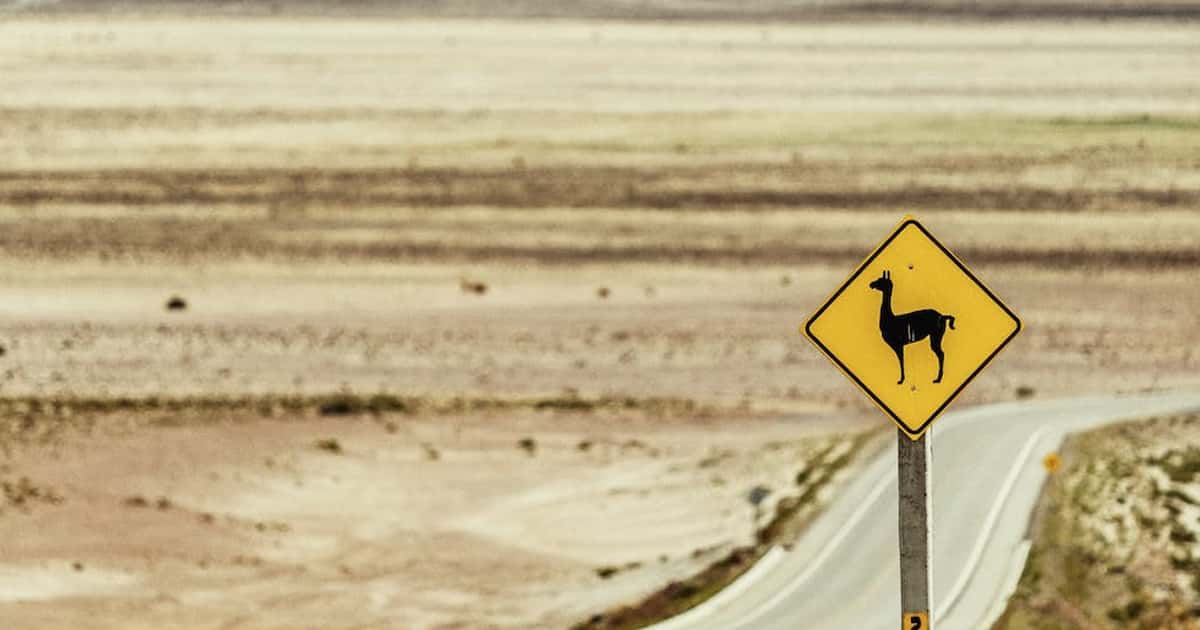 People Share Their "And That's Why The Sign Is There" Stories