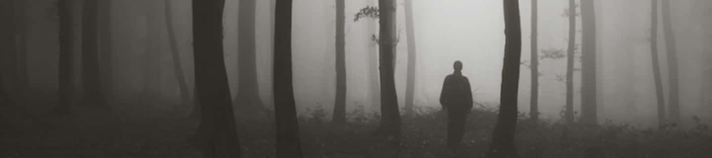 Into The Woods: Terrifying Experiences