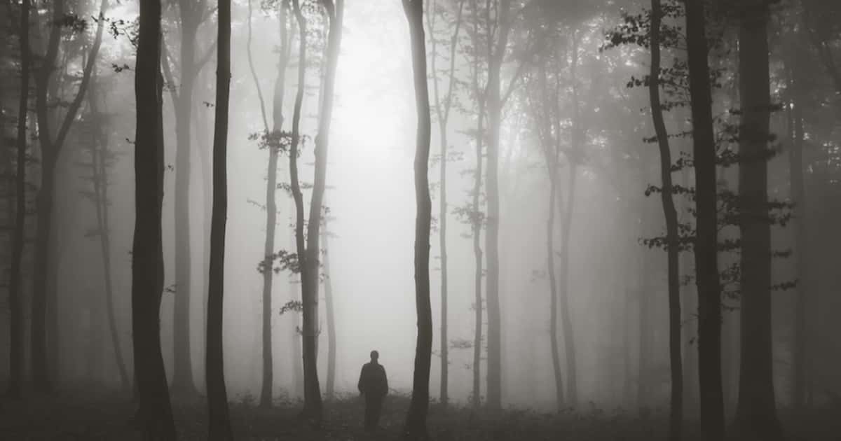 Into The Woods: Terrifying Experiences