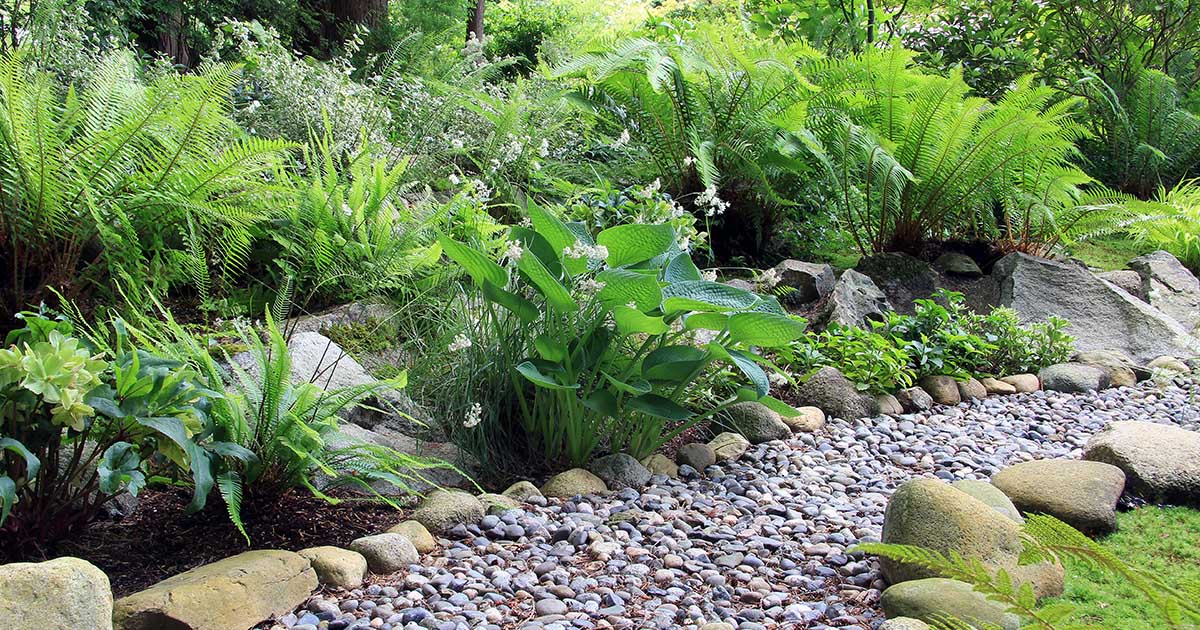 Money-Saving Landscaping Tips For Your Home