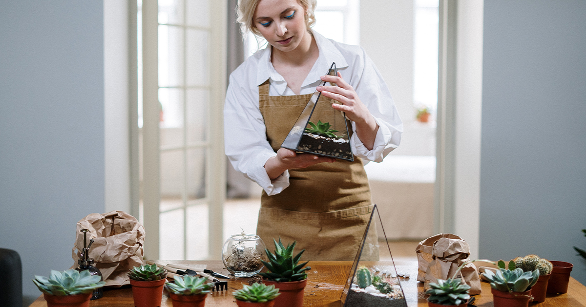 Beat the Cold Without Burning Cash: Unique Indoor Hobbies on a Budget