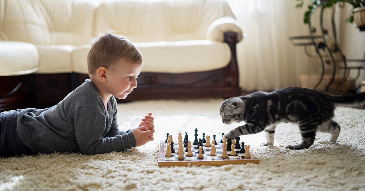 40 Hobbies That Won't Break The Bank