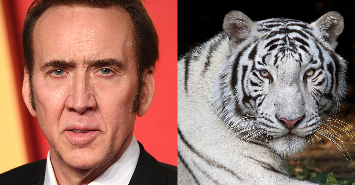 38 Of The Most Outrageous Celebrity Purchases