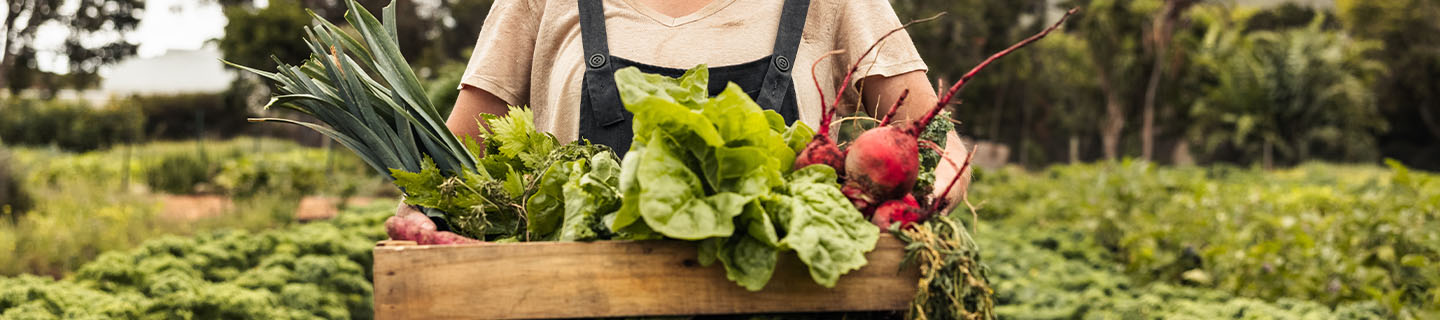 How to Start a Homestead On A Budget